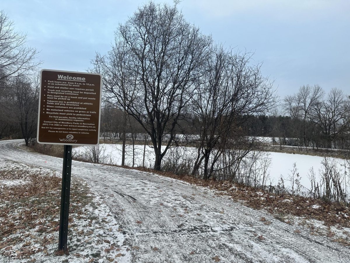 A boy who who fell through thin ice at Markgrafs Lake on Monday has died.