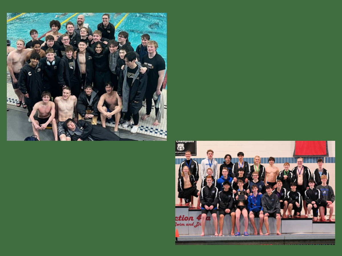 Boys Swim And Dive Teams Place At State True Team Meet