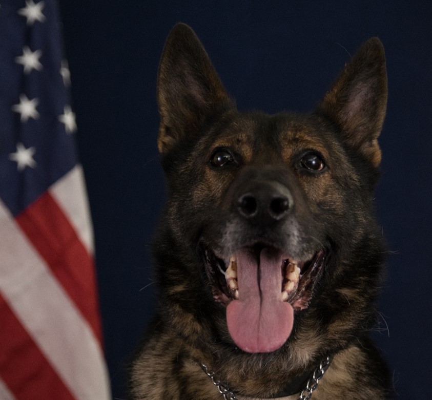 Retired Woodbury Police K9 Passes Away