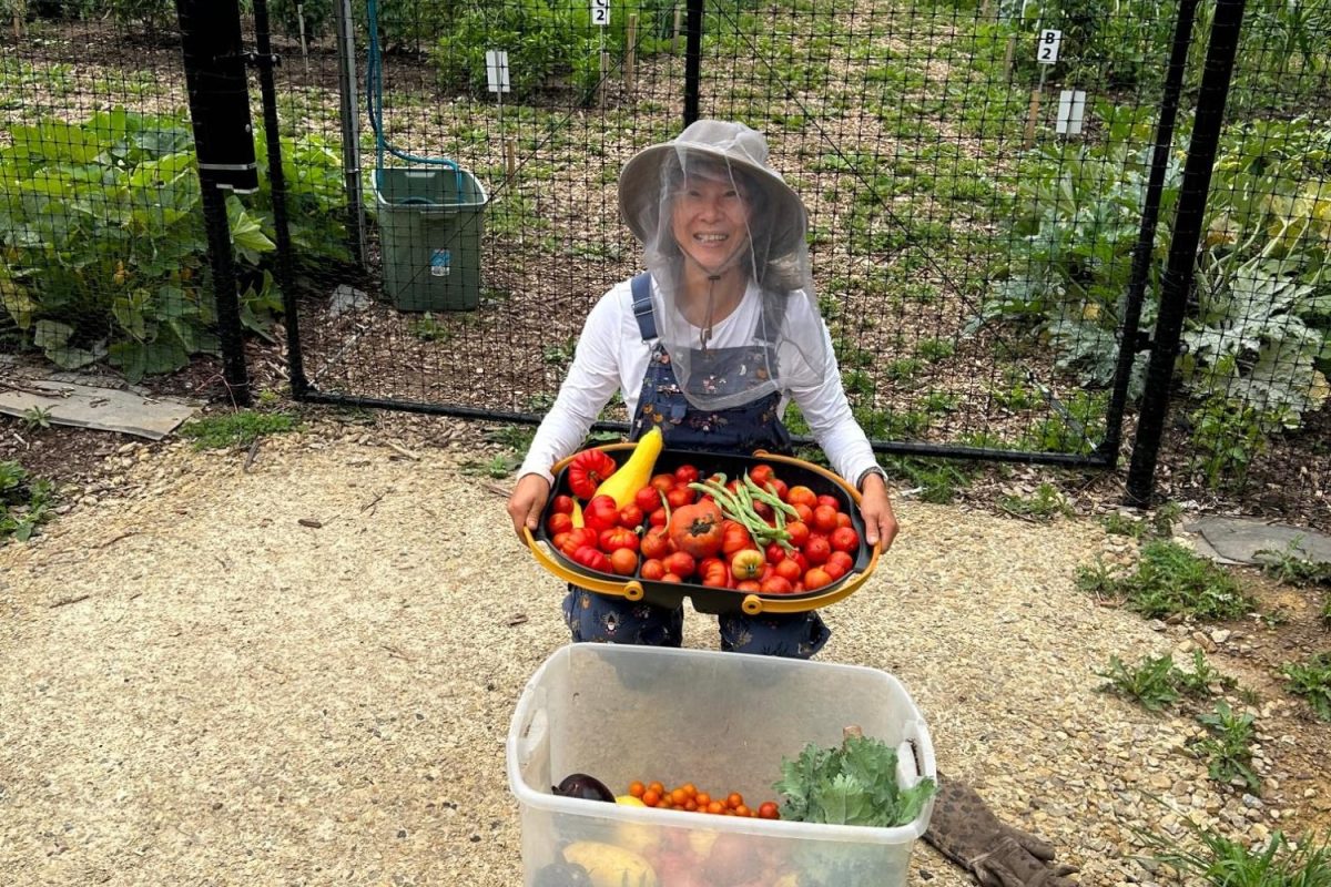 Ying Liang at the Woodbury Community Garden