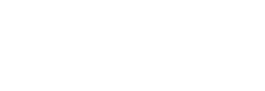 Woodbury News Net Logo