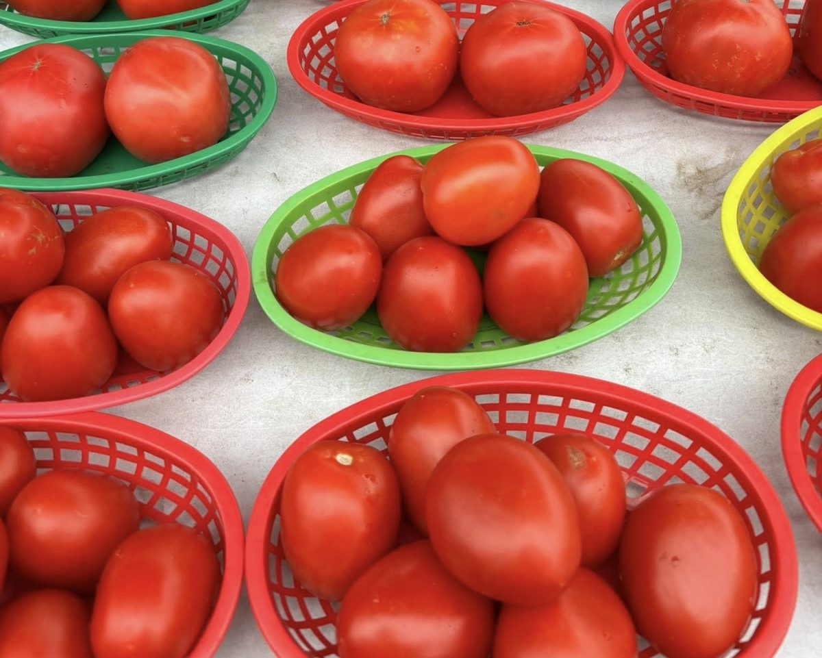 Produce abounds at farmers markets like this one in Lake Elmo. Photo: Contributed.