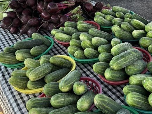 Cucumbers on display at the Lake Elmo Farmers Market. Photo: Contributed.
