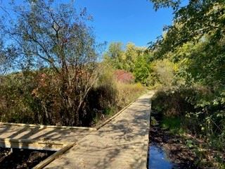 Tamarack Nature Preserve. Photo: Contributed.