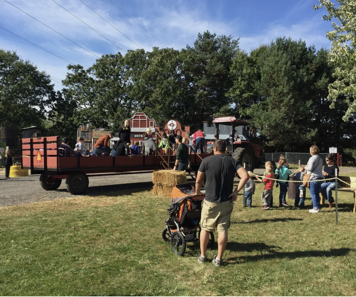 Photo from Country Sun Farm