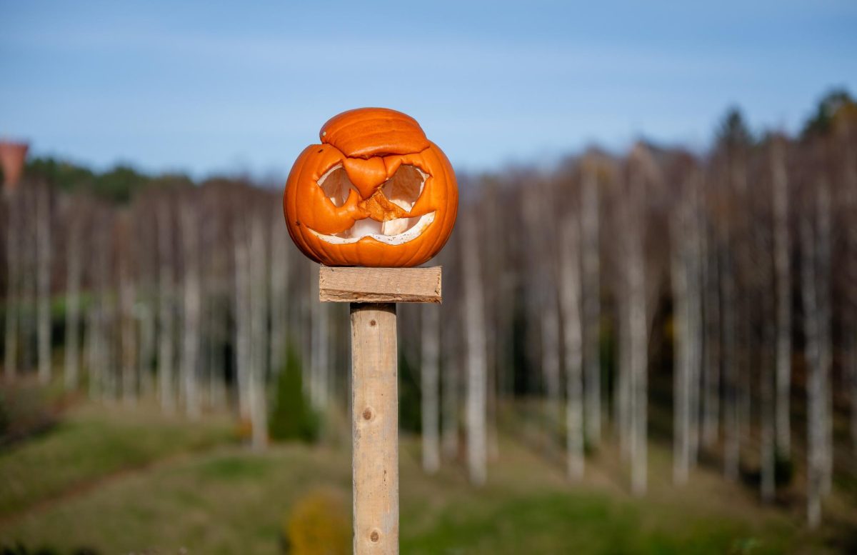 What To Do When Jack-O-Lantern Retires