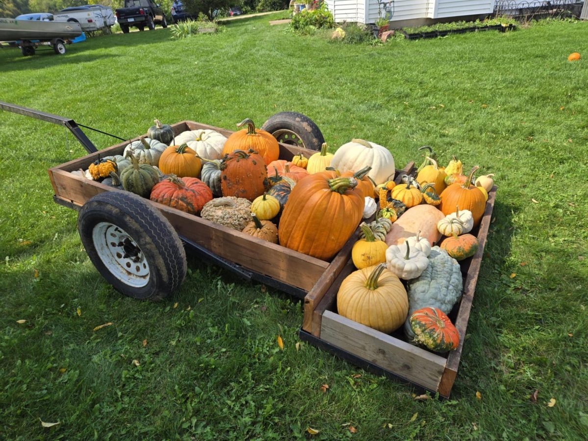 Evergreen Hill Farm Pumpkins