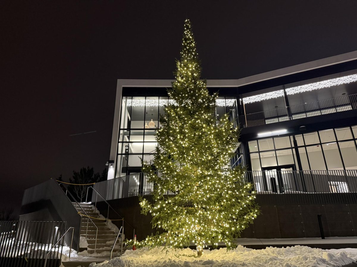 The tree was chosen by the Parks and Forestry department, according to Parks and Recreation Director Michelle Okada.