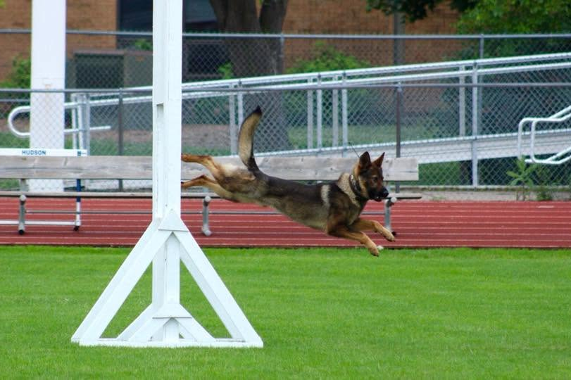 2018 Photo of Baden (Credit/Woodbury Police, Fire, EMS Facebook page).