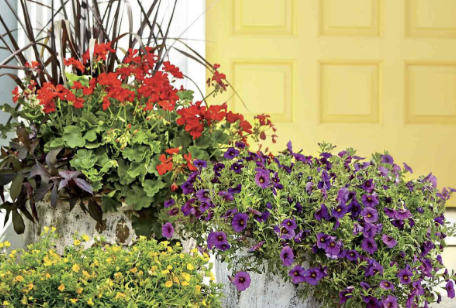 Container Garden Class (Courtesy of City of Woodbury).