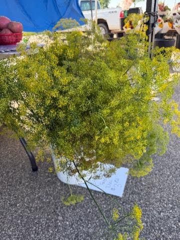 Fresh dill at The Woodbury Farmer’s Market.